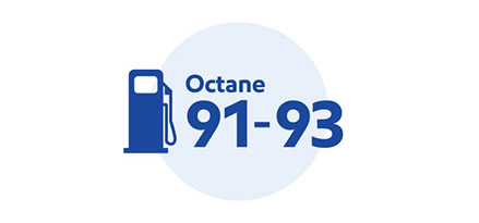 gasoline-octane91-icon-body-sm.jpg